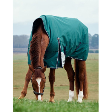 Manta Weatherbeeta ComFiTec Plus Dynamic Turnout 100 g cuello alto Verde bosque / marino Manta Weatherbeeta ComFiTec Plus Dynamic Turnout 100 g cuello alto Verde bosque / marino
