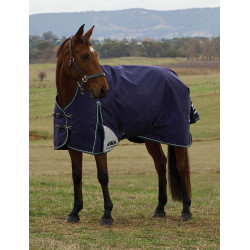 Manta Weatherbeeta ComFiTec Plus Dynamic Turnout 100 g cuello alto Marino / verde bosque Azul