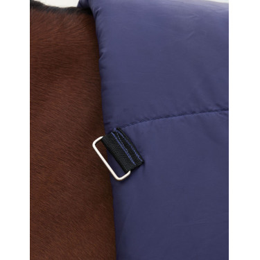 Manta Weatherbeeta ComFiTec Plus Dynamic Turnout 100 g cuello alto Marino / verde bosque Azul