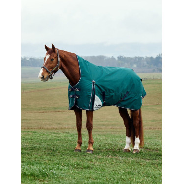 Manta Weatherbeeta ComFiTec Plus Dynamic Turnout 220 g cuello alto Verde bosque / marino Manta Weatherbeeta ComFiTec Plus Dynamic Turnout 220 g cuello alto Verde bosque / marino