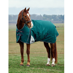 Manta Weatherbeeta ComFiTec Plus Dynamic Turnout 220 g cuello alto Verde bosque / marino Manta Weatherbeeta ComFiTec Plus Dynamic Turnout 220 g cuello alto Verde bosque / marino