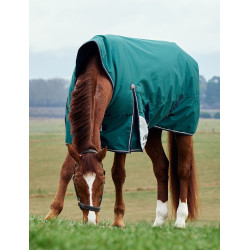 Manta Weatherbeeta ComFiTec Plus Dynamic Turnout 220 g cuello alto Verde bosque / marino Manta Weatherbeeta ComFiTec Plus Dynamic Turnout 220 g cuello alto Verde bosque / marino