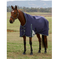 Manta Weatherbeeta ComFiTec Plus Dynamic Turnout 220 g cuello alto Marino / verde bosque Azul