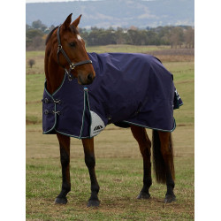 Manta Weatherbeeta ComFiTec Plus Dynamic Turnout 220 g cuello alto Marino / verde bosque Azul Manta Weatherbeeta ComFiTec Plus Dynamic Turnout 220 g cuello alto Marino / verde bosque Azul