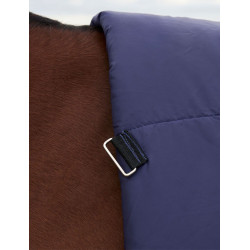 Manta Weatherbeeta ComFiTec Plus Dynamic Turnout 220 g cuello alto Marino / verde bosque Azul Manta Weatherbeeta ComFiTec Plus Dynamic Turnout 220 g cuello alto Marino / verde bosque Azul