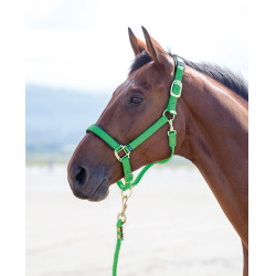 Cabezada cuadra nylon Topaz Shires Verde