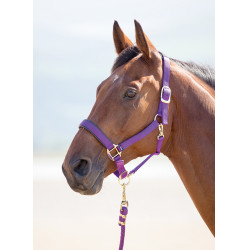 Cabezada cuadra nylon Topaz Shires Púrpura Violeta