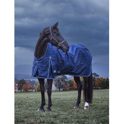 Manta Weatherbeeta ComFiTec Prelim Turnout 220 g Manta con relieve azul marino Manta Weatherbeeta ComFiTec Prelim Turnout 220 g Manta con relieve azul marino