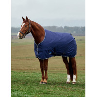 Manta Weatherbeeta ComFiTec Tyro Turnout 50 g Azul marino / carbón de leña Manta Weatherbeeta ComFiTec Tyro Turnout 50 g Azul marino / carbón de leña