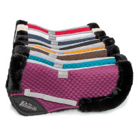 Salvadorso Performance Shires