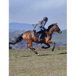 Impermeable largo Weatherbeeta Azul pizarra Impermeable largo Weatherbeeta Azul pizarra
