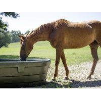 Ovale Kerbl voederbak