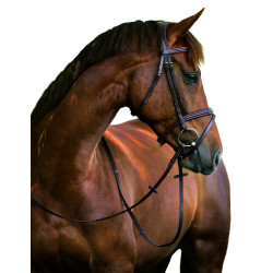 Cabezada Covalliero Classic Cabezada Covalliero Classic