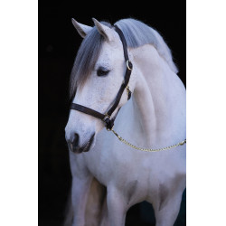 Cabezada cuero Covalliero Eco Castaño Marrón Cabezada cuero Covalliero Eco Castaño Marrón