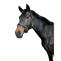 Cabezada cuero Covalliero Eco Negro