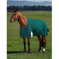 Manta Weatherbeeta ComFiTec Plus Dynamic Turnout 220 g Verde bosque / marino Manta Weatherbeeta ComFiTec Plus Dynamic Turnout 220 g Verde bosque / marino
