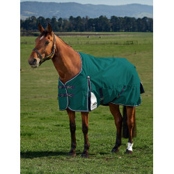 Manta Weatherbeeta ComFiTec Plus Dynamic Turnout 220 g Verde bosque / marino