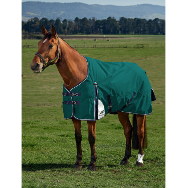 Manta Weatherbeeta ComFiTec Plus Dynamic Turnout 220 g Verde bosque / marino Manta Weatherbeeta ComFiTec Plus Dynamic Turnout 220 g Verde bosque / marino