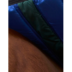 Manta Weatherbeeta ComFiTec Plus Dynamic Turnout 220 g Verde bosque / marino