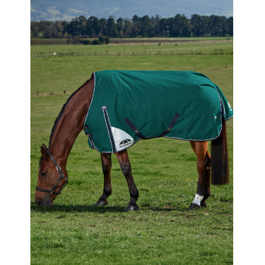 Manta Weatherbeeta ComFiTec Plus Dynamic Turnout 220 g Verde bosque / marino Manta Weatherbeeta ComFiTec Plus Dynamic Turnout 220 g Verde bosque / marino