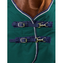 Manta Weatherbeeta ComFiTec Plus Dynamic Turnout 220 g Verde bosque / marino