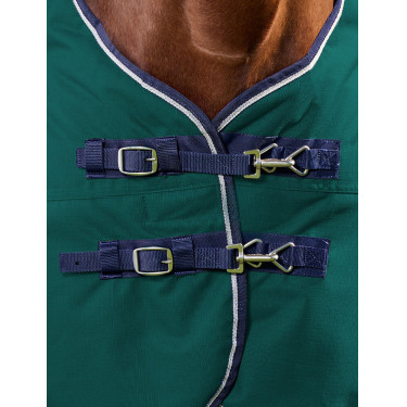 Manta Weatherbeeta ComFiTec Plus Dynamic Turnout 220 g Verde bosque / marino Manta Weatherbeeta ComFiTec Plus Dynamic Turnout 220 g Verde bosque / marino