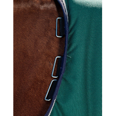 Manta Weatherbeeta ComFiTec Plus Dynamic Turnout 220 g Verde bosque / marino Manta Weatherbeeta ComFiTec Plus Dynamic Turnout 220 g Verde bosque / marino