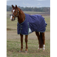 Manta Weatherbeeta ComFiTec Plus Dynamic Turnout 220 g Marino / verde bosque Azul