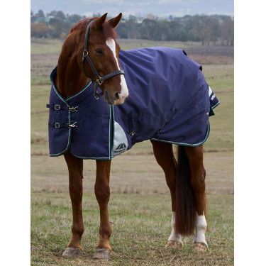 Manta Weatherbeeta ComFiTec Plus Dynamic Turnout 220 g Marino / verde bosque Azul