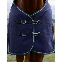 Manta Weatherbeeta ComFiTec Plus Dynamic Turnout 220 g Marino / verde bosque Azul