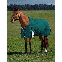 Manta Weatherbeeta ComFiTec Plus Dynamic Turnout 100 g Verde bosque / marino