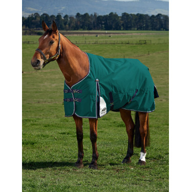 Manta Weatherbeeta ComFiTec Plus Dynamic Turnout 100 g Verde bosque / marino Manta Weatherbeeta ComFiTec Plus Dynamic Turnout 100 g Verde bosque / marino