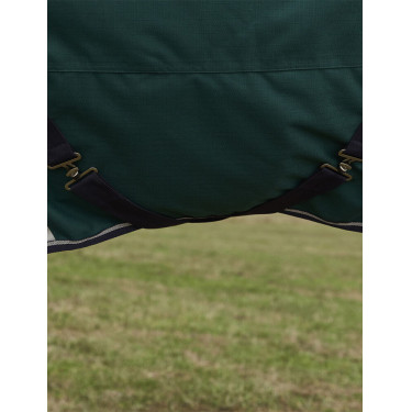 Manta Weatherbeeta ComFiTec Plus Dynamic Turnout 100 g Verde bosque / marino Manta Weatherbeeta ComFiTec Plus Dynamic Turnout 100 g Verde bosque / marino