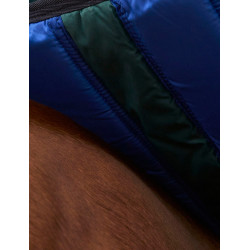 Manta Weatherbeeta ComFiTec Plus Dynamic Turnout 100 g Verde bosque / marino