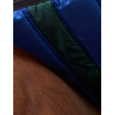Manta Weatherbeeta ComFiTec Plus Dynamic Turnout 100 g Verde bosque / marino Manta Weatherbeeta ComFiTec Plus Dynamic Turnout 100 g Verde bosque / marino
