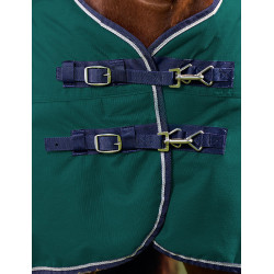 Manta Weatherbeeta ComFiTec Plus Dynamic Turnout 100 g Verde bosque / marino