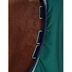 Manta Weatherbeeta ComFiTec Plus Dynamic Turnout 100 g Verde bosque / marino