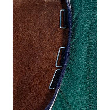 Manta Weatherbeeta ComFiTec Plus Dynamic Turnout 100 g Verde bosque / marino Manta Weatherbeeta ComFiTec Plus Dynamic Turnout 100 g Verde bosque / marino
