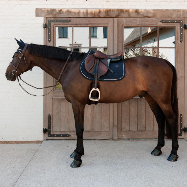 Silla de montar Velvet jumping Kentucky Azul marino Silla de montar Velvet jumping Kentucky Azul marino