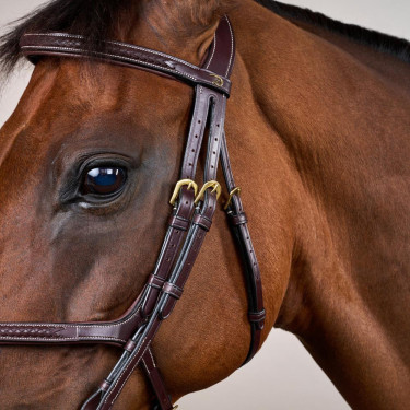 Brida Muserola Cruzada Trenzada D Colección Dy'on Castaño Marrón Brida Muserola Cruzada Trenzada D Colección Dy'on Castaño Marrón