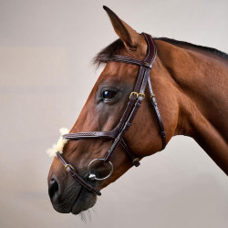 Brida Muserola Cruzada Trenzada D Colección Dy'on Castaño Marrón Brida Muserola Cruzada Trenzada D Colección Dy'on Castaño Marrón