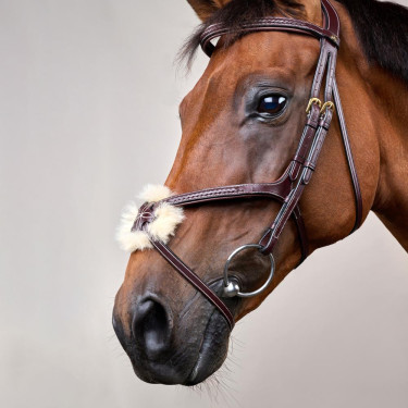 Brida Muserola Cruzada Trenzada D Colección Dy'on Castaño Marrón Brida Muserola Cruzada Trenzada D Colección Dy'on Castaño Marrón