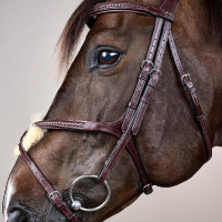 Cabezada Muserola Cruzada Trenzada New English Collection Dy'on Castaño Marrón