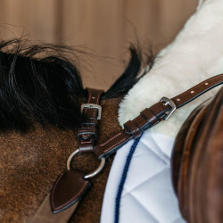 Pechopetral de 5 puntos con elásticos New English Collection Dy'on Castaño Marrón Pechopetral de 5 puntos con elásticos New English Collection Dy'on Castaño Marrón