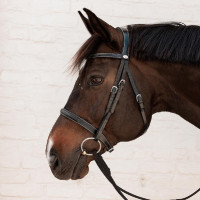 Brida Hunter Dy'on Negro Brida Hunter Dy'on Negro