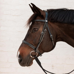 Brida Hunter Dy'on Negro Brida Hunter Dy'on Negro