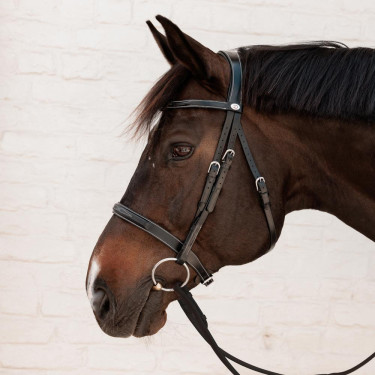 Brida Hunter Dy'on Negro Brida Hunter Dy'on Negro