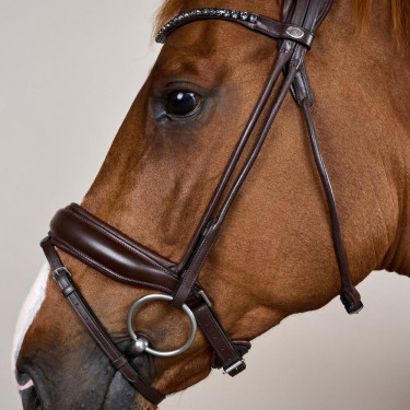 Brida con muserola ancha de cuero suave Dy'on Castaño Marrón