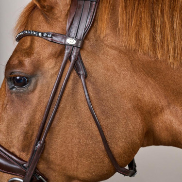 Brida con muserola ancha de cuero suave Dy'on Castaño Marrón
