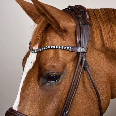 Brida con muserola ancha de cuero suave Dy'on Castaño Marrón